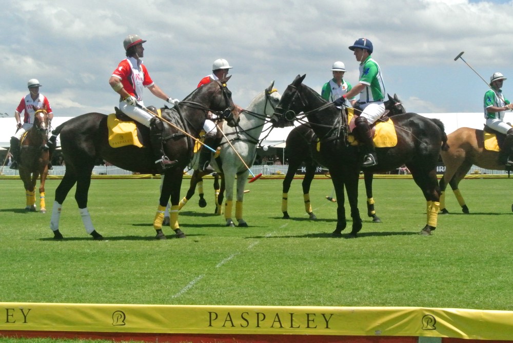 DSC 7462