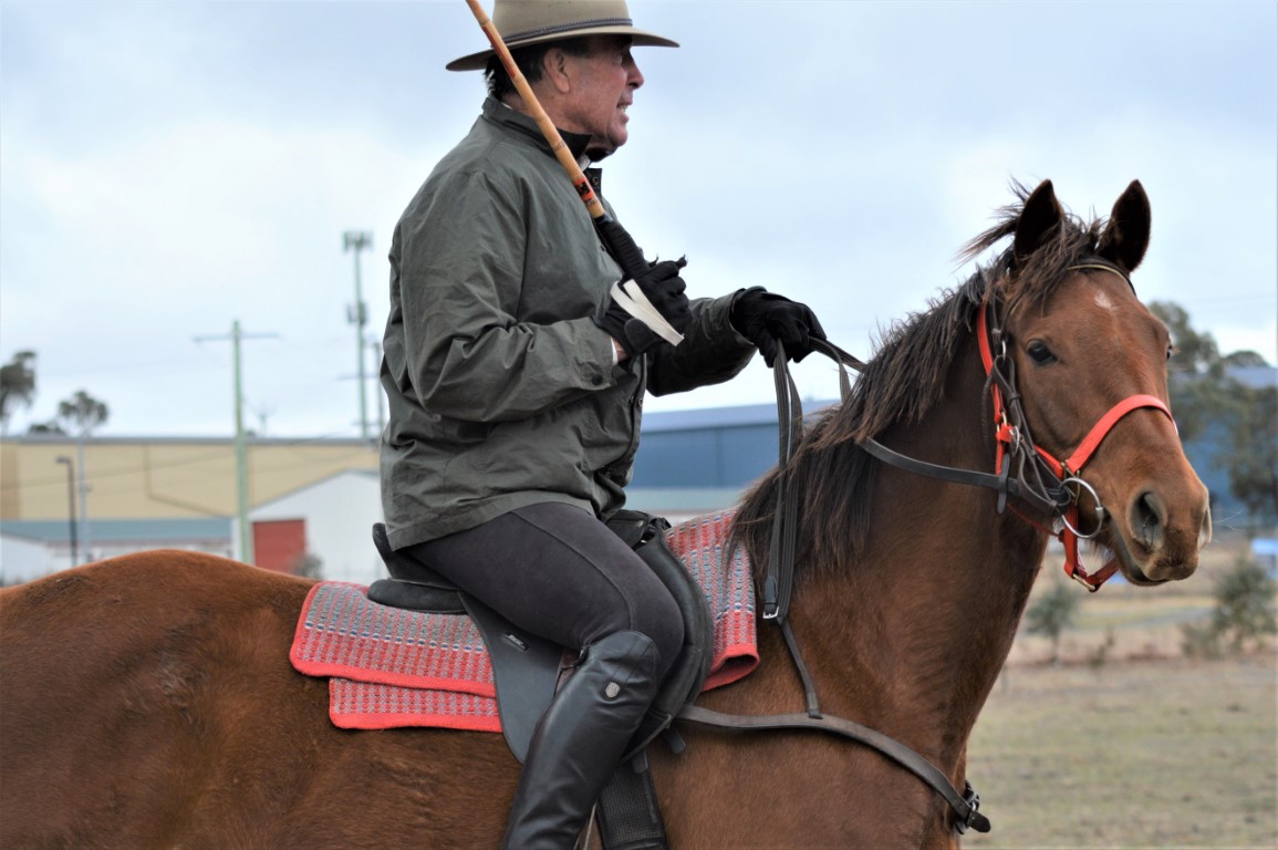 Wallace Ashton Medium