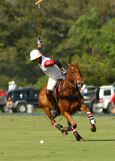 audi polo team coca polo team int polo club polo magazine alex pacheco photos 1