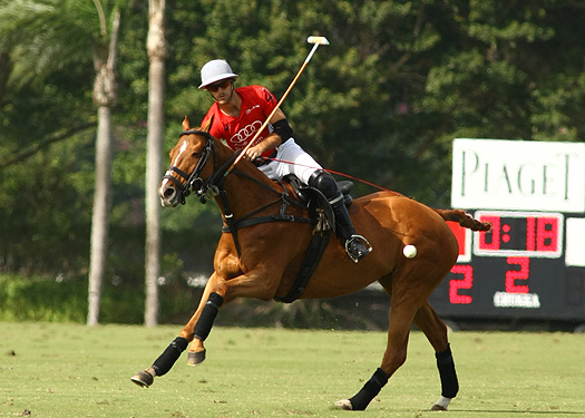 audi polo team coca polo team int polo club polo magazine alex pacheco photos 2