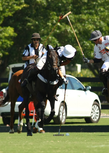 cvwhitneycuppolophotosalexpachecopoloclubpolomagazine 4