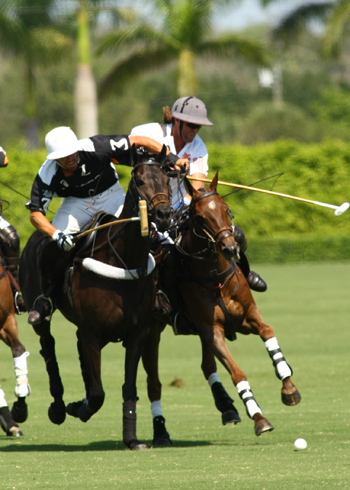 cvwhitneycuppolophotosalexpachecopoloclubpolomagazine 5