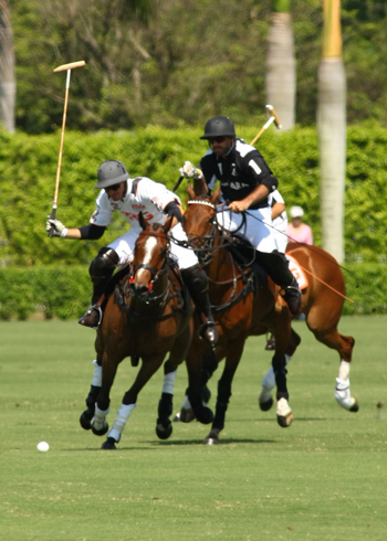 cvwhitneycuppolophotosalexpachecopoloclubpolomagazine 6