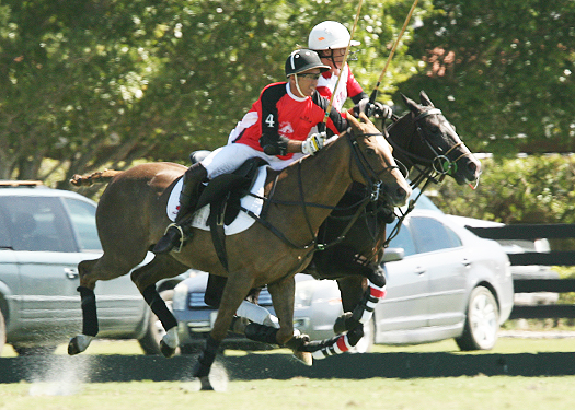alex pacheco alegria coca cola polo tournament