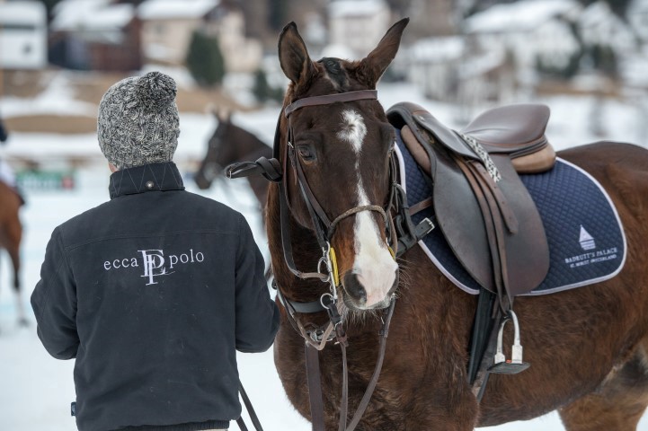 polo-world-cup-on-snow-stmoritz-2016 24105280854 o