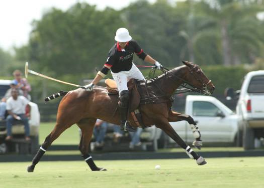 US Open photos polo Coca-Cola Zorzal Alex Pacheco polo magazine 2013 florida polo 4