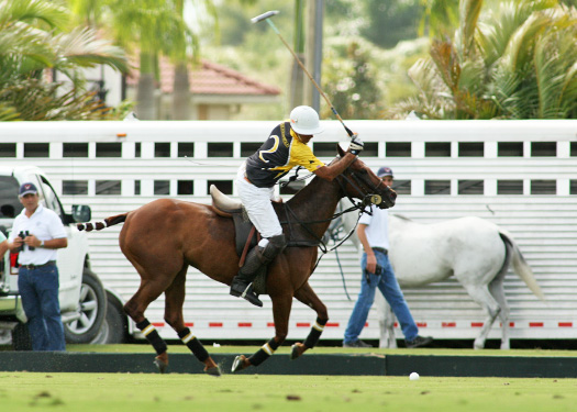 pacheco polo photos us open polo championship florida polo magazine faraway lechuza 3